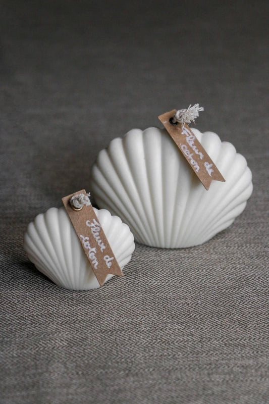 Bougie Coquillage